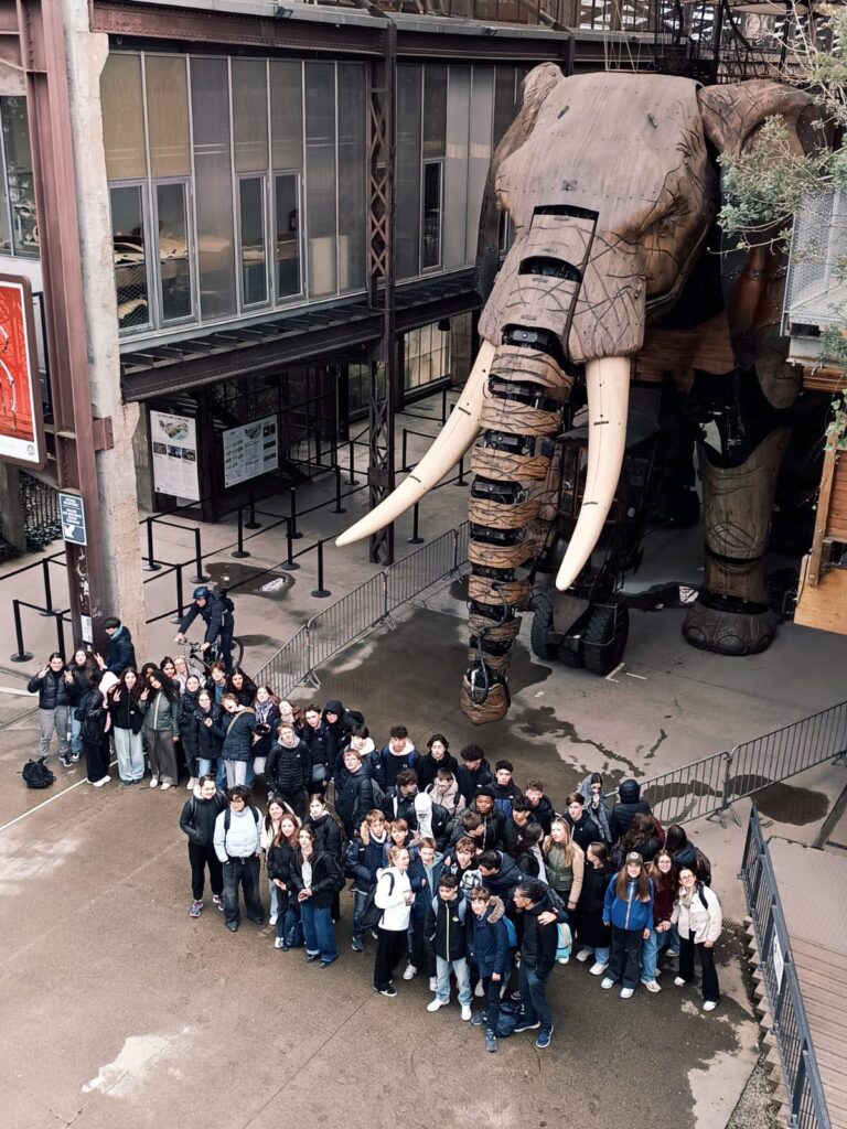 Vivre une immersion culturelle à Nantes 7 1