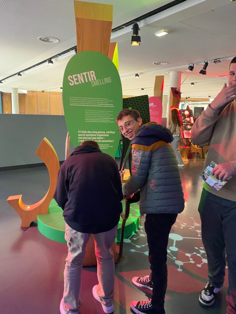 mhr sthr cite gastro 13