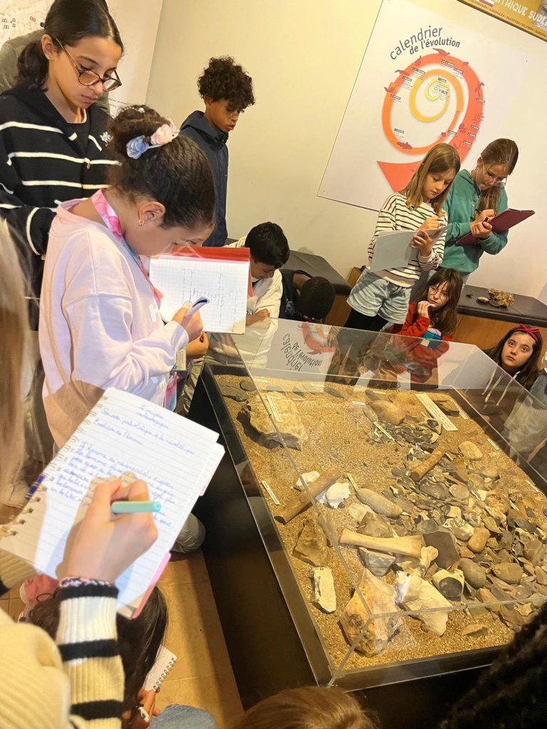 musee prehistoire college 2