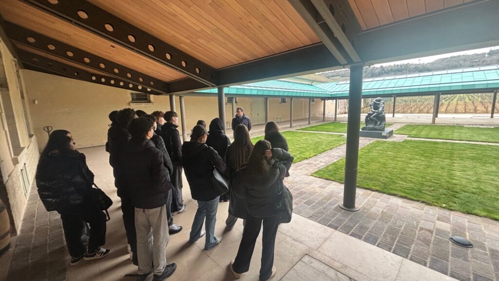 domaine faiveley stmg 10