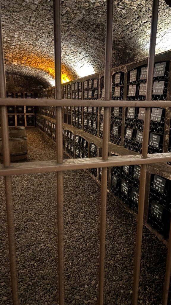 domaine faiveley stmg 3