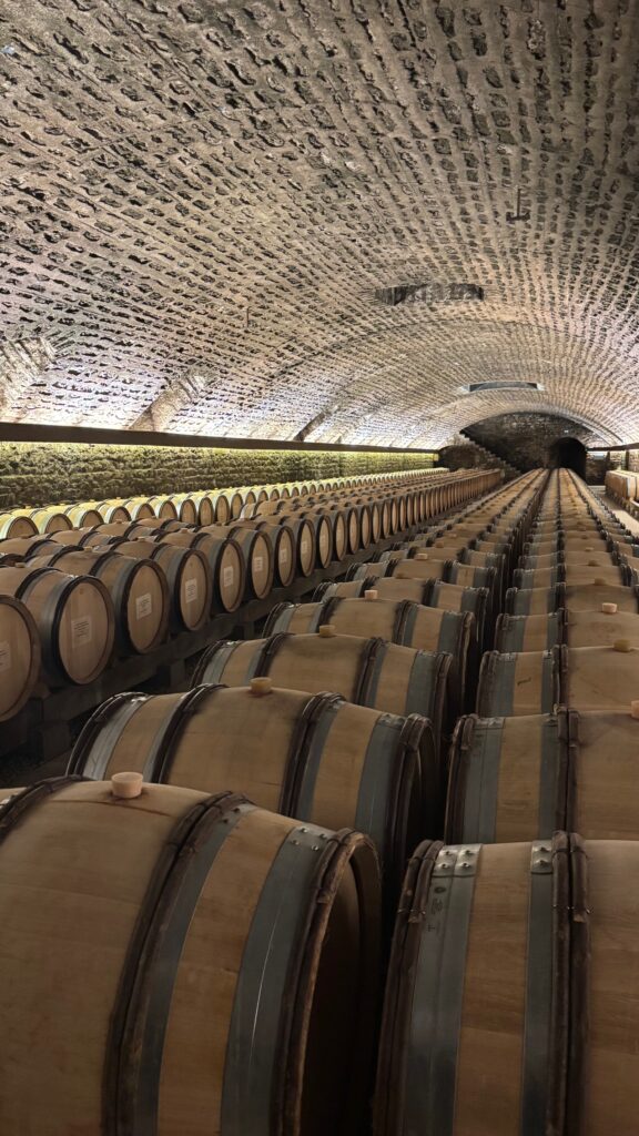 domaine faiveley stmg 4