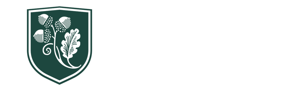 Logo Dual Diploma 2