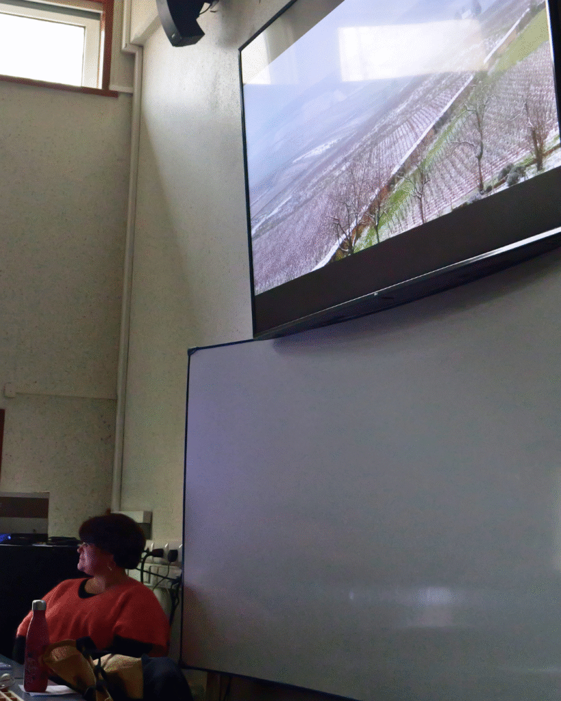 visite rennes bts tourisme 1