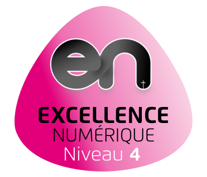 New-Badge-Niveau4