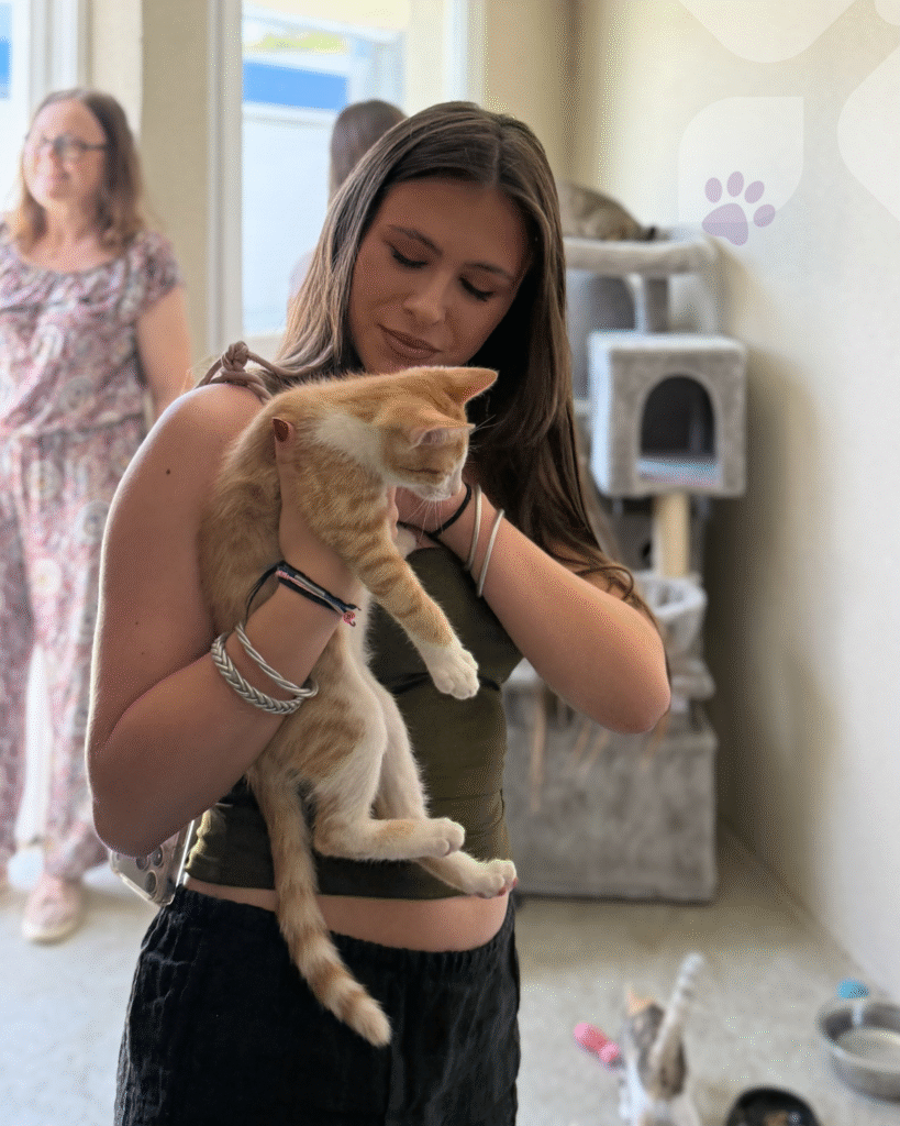 BTS Communication : une collecte de dons au profit de la SPA des Cailloux 8 5 4