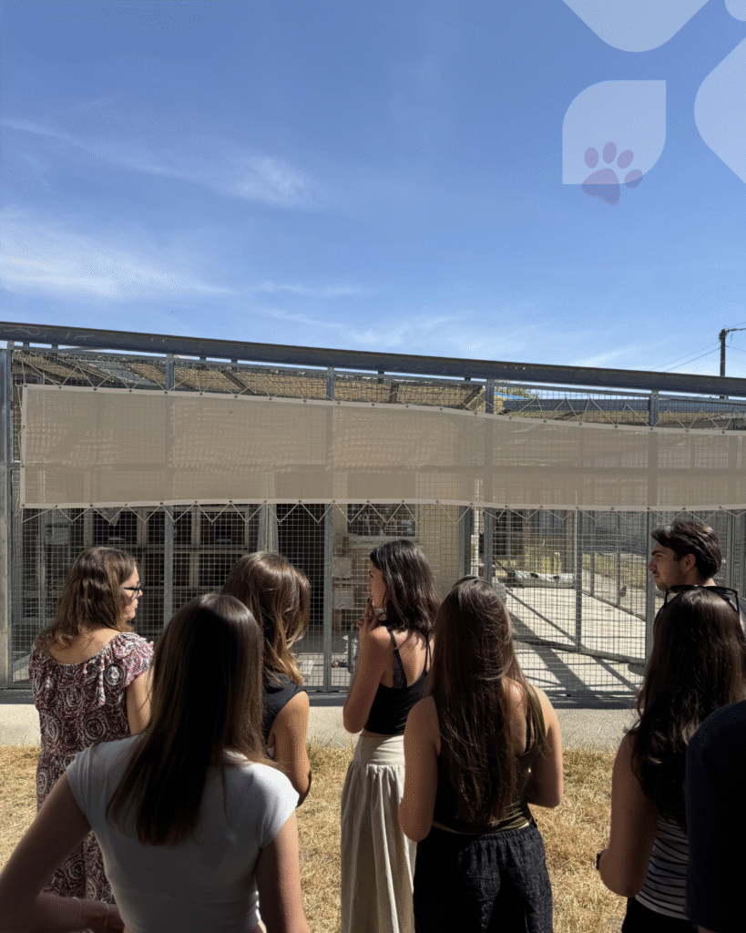 BTS Communication : une collecte de dons au profit de la SPA des Cailloux 5 8 3